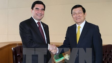 Президент СРВ Чыонг Тан Шанг провел двусторонние встречи с руководителями некоторых стран - ảnh 1